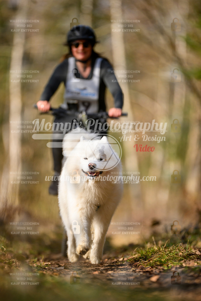 MompixPhotography_6ReiatRennen2026_SO_Bike-99 | PayLife