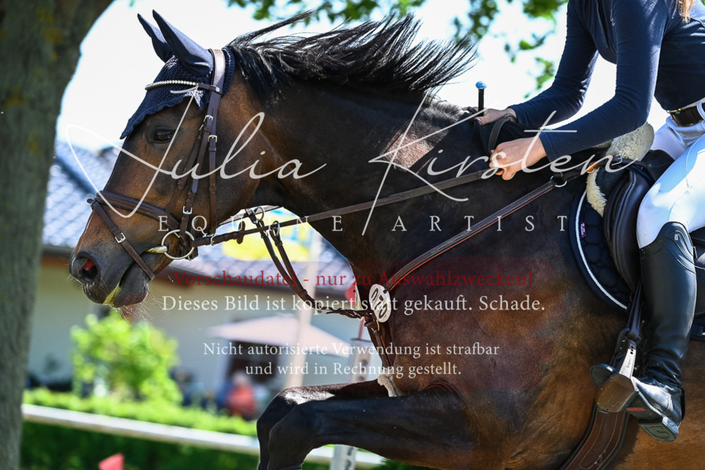 DSC_1311 | Pferde- und Turnierfotografie in Westsachsen. Pferdeportraits, Auftragszeichnungen und intuitive Kunst.