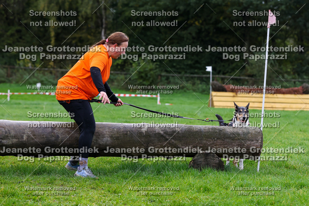 Dog Paparazzi -  SD1026-1258 | Dog Paparazzi Jeanette Grottendiek Fotografie & Videografie - Realisiert mit Pictrs.com