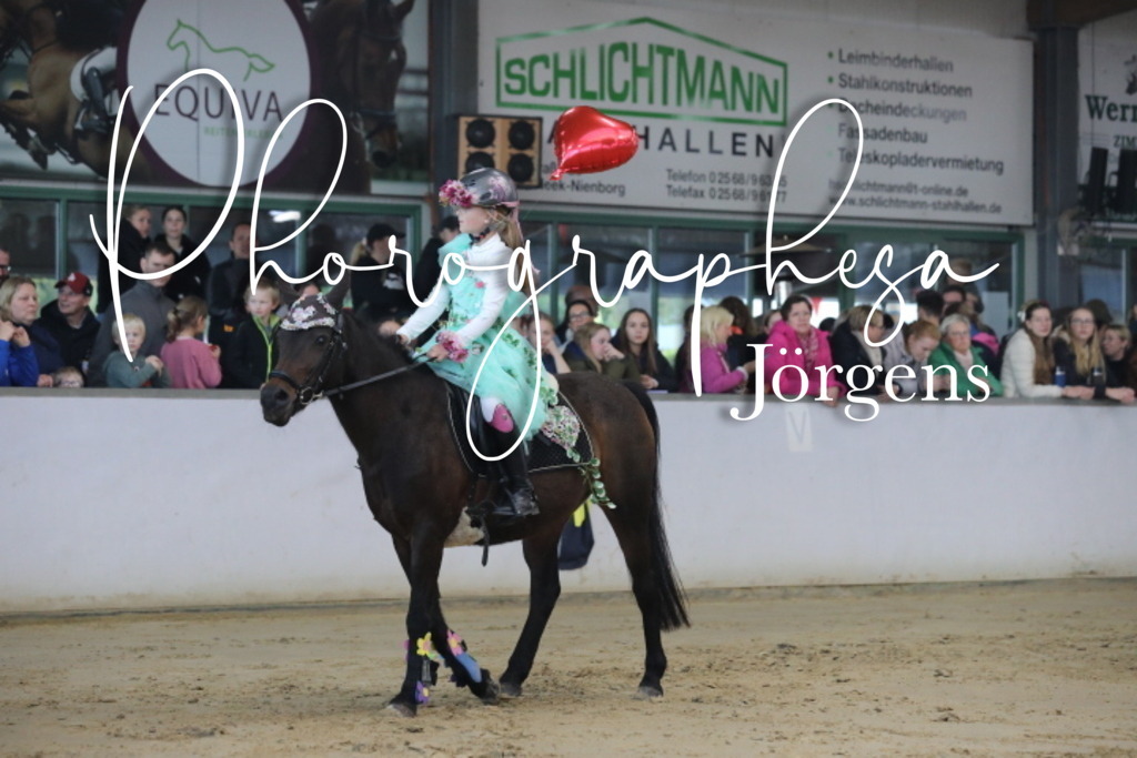 IMG_1790 | photographesa-joergens - Realisiert mit Pictrs.com