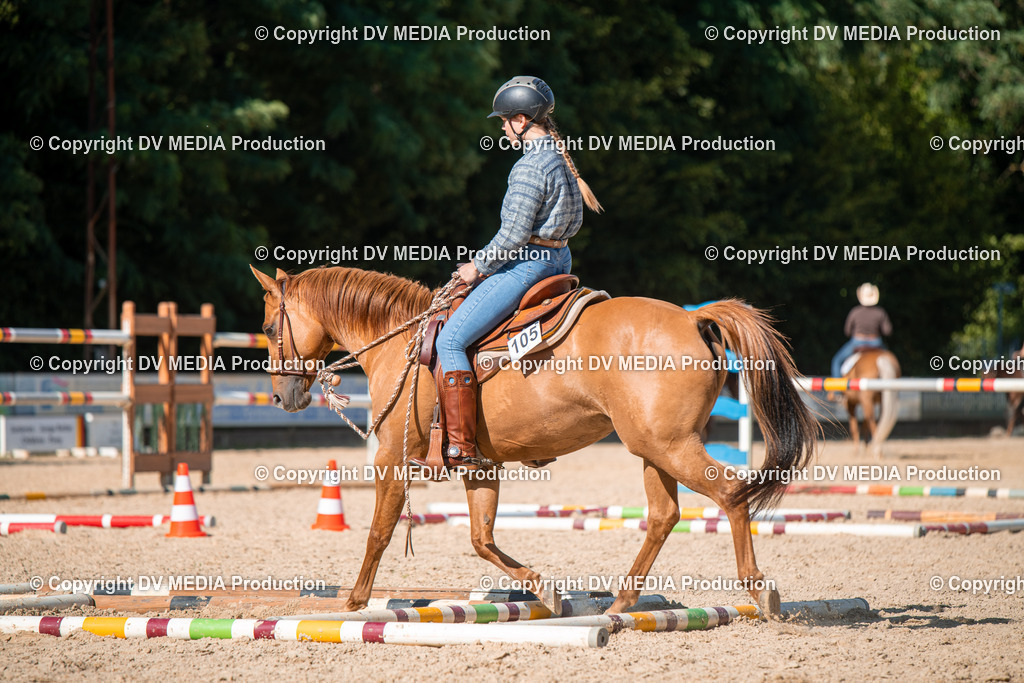 EWP_6972 | dv-media-shop - Realisiert mit Pictrs.com