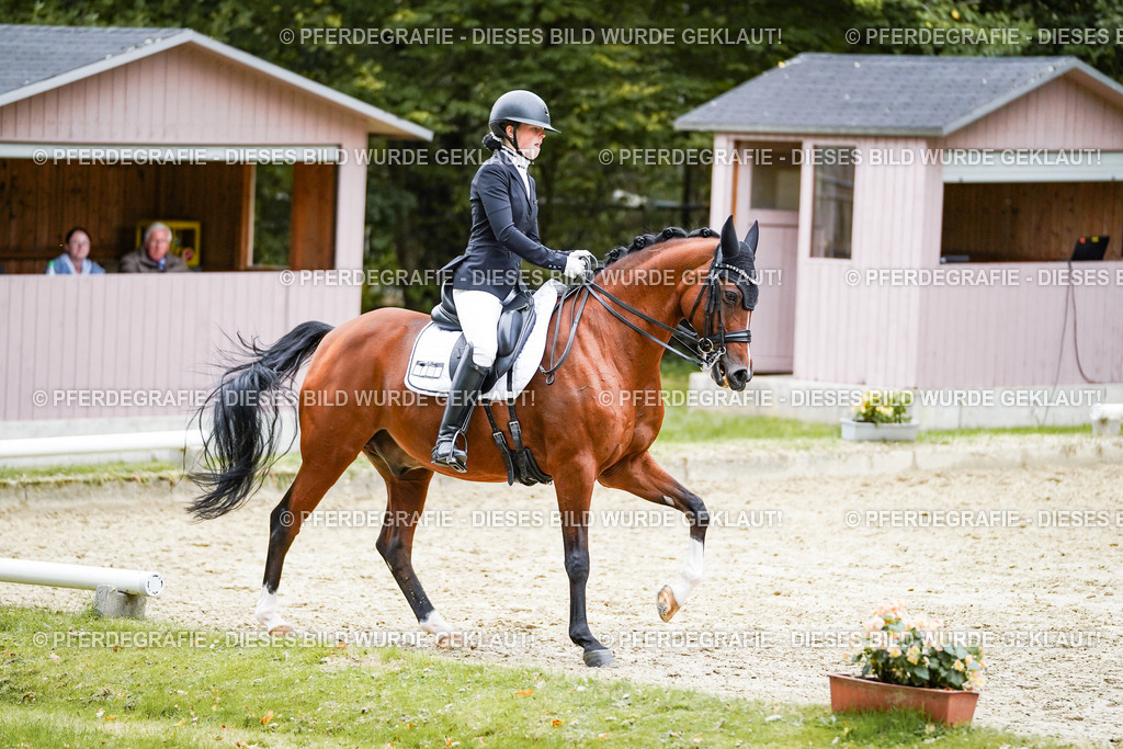 DSC01601 | Pferdegrafie