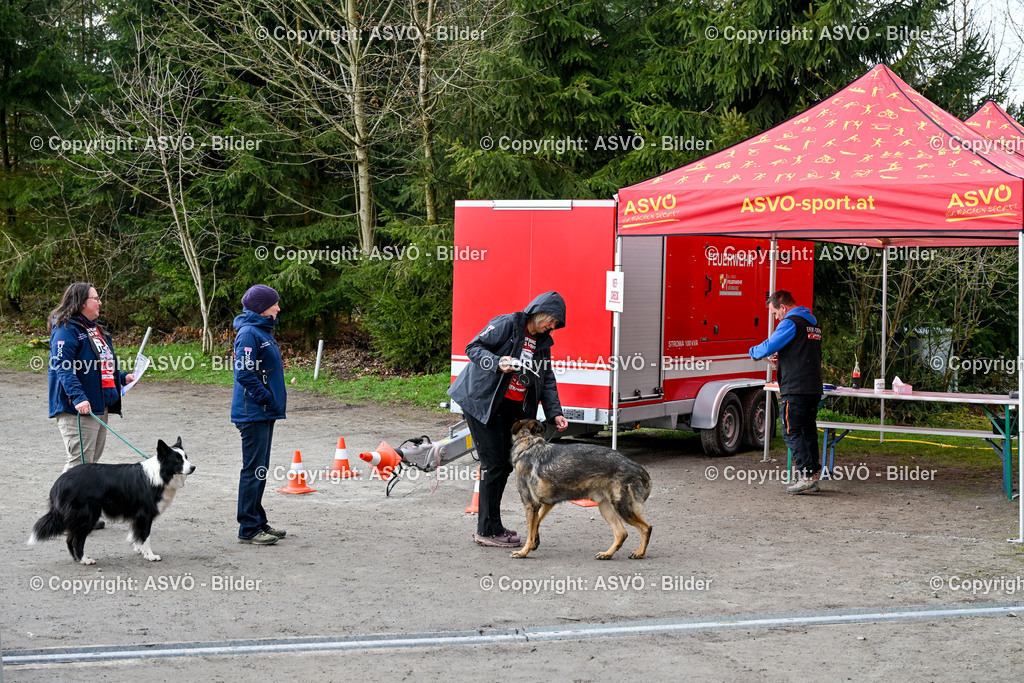 ASVÖ_ Tracking Dog World Championship 2025_ 31.03.2025-24 | 31.03.2025, AUT, ASVÖ, Tracking Dog World Championship // FCI IGP Fährtenhundeweltmeisterschaft 2025©fodo.media / Harald Dostal - Realisiert mit Pictrs.com