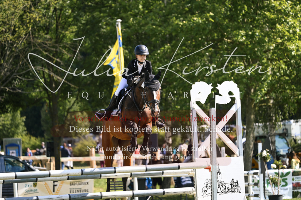 DSC_8763 | Pferde- und Turnierfotografie in Westsachsen. Pferdeportraits, Auftragszeichnungen und intuitive Kunst.