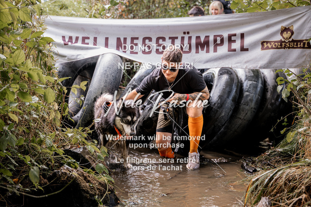 nelerasche_Hunsrück2026_Sa1400-1500_162 | nelerasche