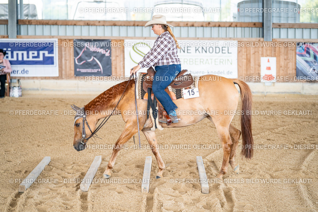 DSC01972 | Pferdegrafie