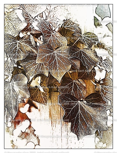 titusgraphy_P4045808-vz-ln_pe_pe-13 | titusgraphy-shop: Geschenkideen mit Qualitätsfotos. titusgraphy-shop: gift ideas with quality photos. titusgraphy-shop: idées cadeaux avec photos de qualité.  - Realisiert mit Pictrs.com