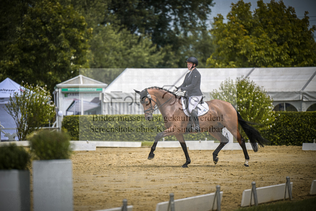 DOS_3846 | Entdecke hochwertige Reitturnierfotos von Foto Oger. Professionell, emotional und authentisch – jetzt Lieblingsmomente im Shop bestellen.Deutschlandweite Turnierfotografie. - Realisiert mit Pictrs.com