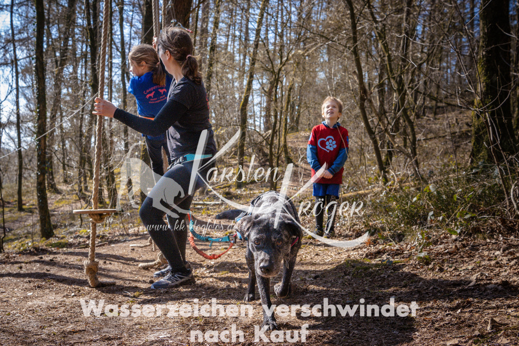 1117_ZZ97449 | kk-dogfotos