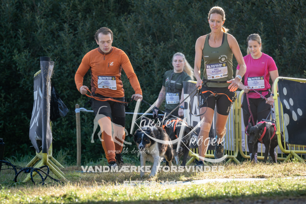 0902_ZZ93812 | kk-dogfotos