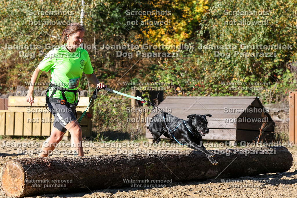 Dog Paparazzi - Strongdog 10-25-2391 | Dog Paparazzi Jeanette Grottendiek Fotografie & Videografie - Realisiert mit Pictrs.com