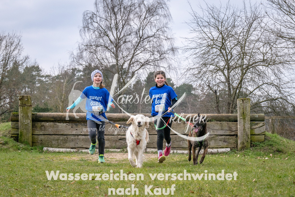 _ZZ91717 | kk-dogfotos