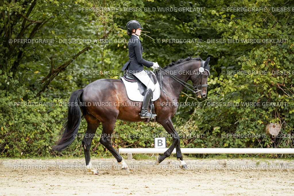 DSC03998 | Pferdegrafie