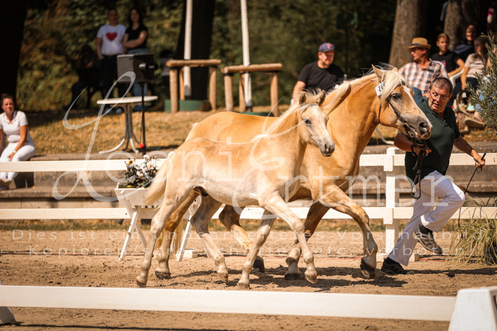 06.DoH00103 | Leoni Ertmer Photography - Realisiert mit Pictrs.com