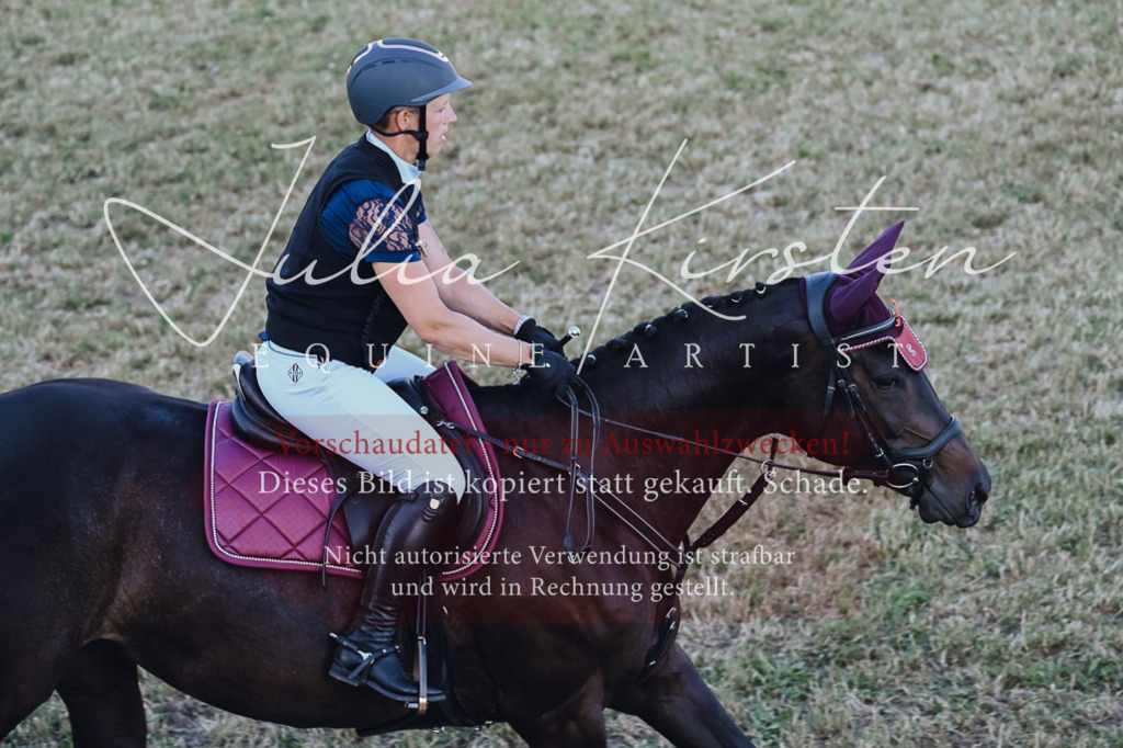 DSC_3252 | Pferde- und Turnierfotografie in Westsachsen. Pferdeportraits, Auftragszeichnungen und intuitive Kunst.