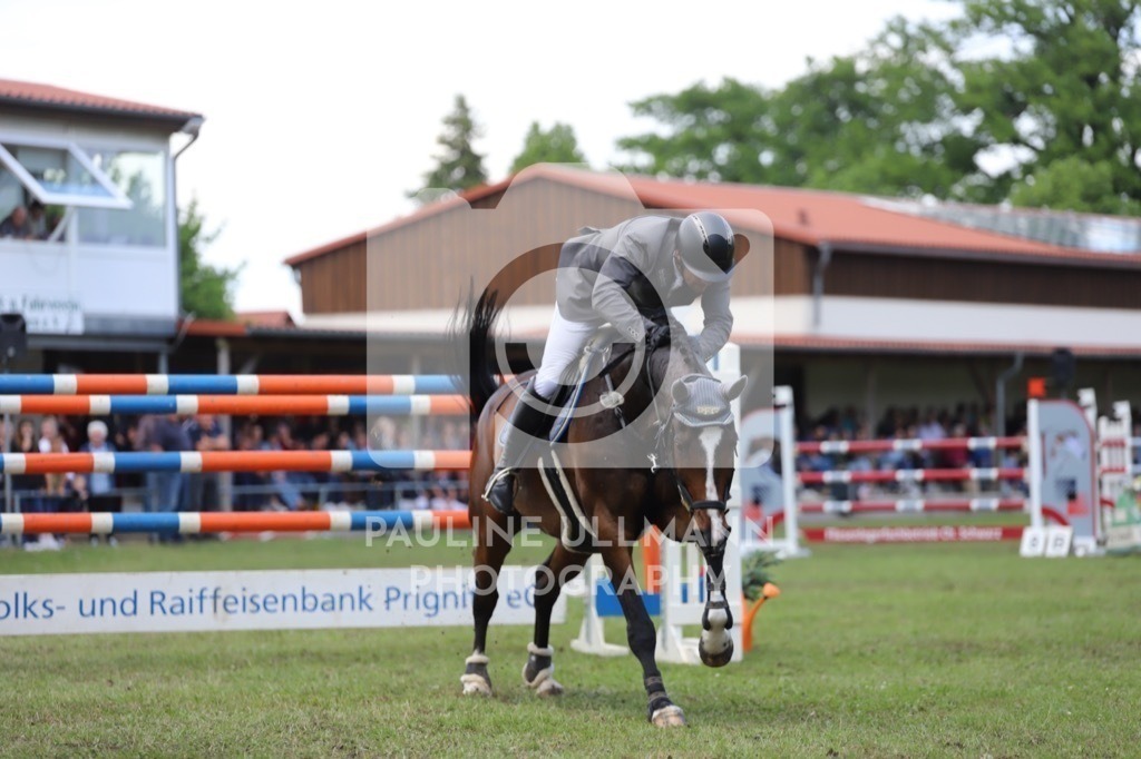 IMG_9015 | Pauline Ullmann Photography - Realisiert mit Pictrs.com