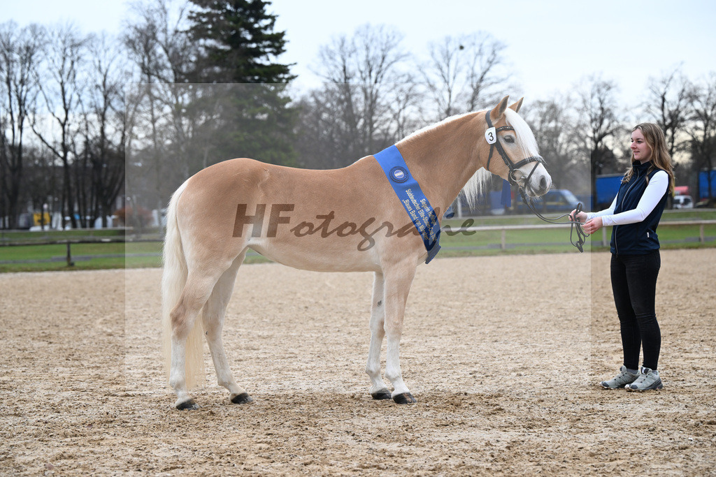 Bl. Band Kat-Nr. 3 Lorena v. Sterlington_Weber_48251709 | hf-fotografie - Realisiert mit Pictrs.com