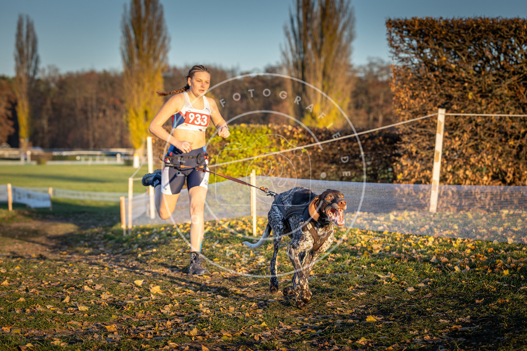 CaniXpix_DV3A5189 | Hundefotografie, Tierfotograf, Pfotenfotografie, Fotoshooting Hund, Hunde Portrait, Hundesport, Hundeportraits, Heideshooting, Hunde, Sportfotograf, Hundefotograf, Turnierhundsport, THS,  - Realisiert mit Pictrs.com