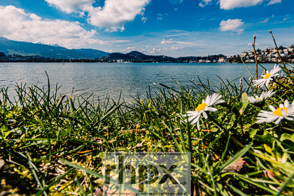 Frühling in Luzern | Stimmungsvolle Fotokunst aus Luzern. Erlebe den Pilatus, den See und die Stadt Luzern in exklusiven Aufnahmen in der Fotogalerie & Shop. - Realisiert mit Pictrs.com