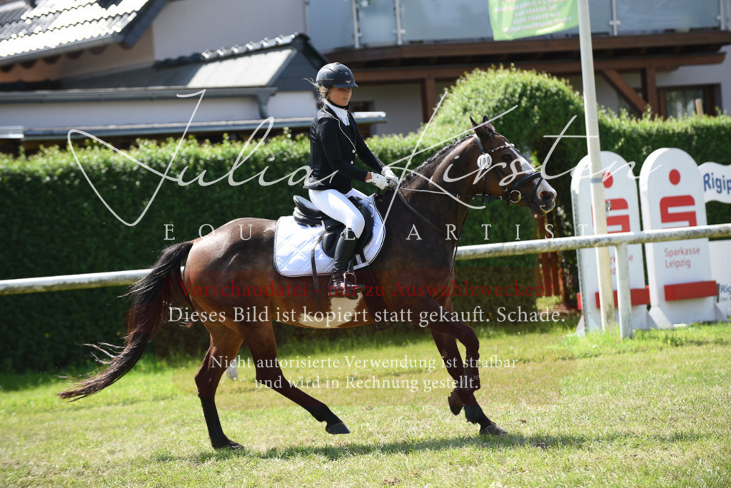DSC_0060 | Pferde- und Turnierfotografie in Westsachsen. Pferdeportraits, Auftragszeichnungen und intuitive Kunst.
