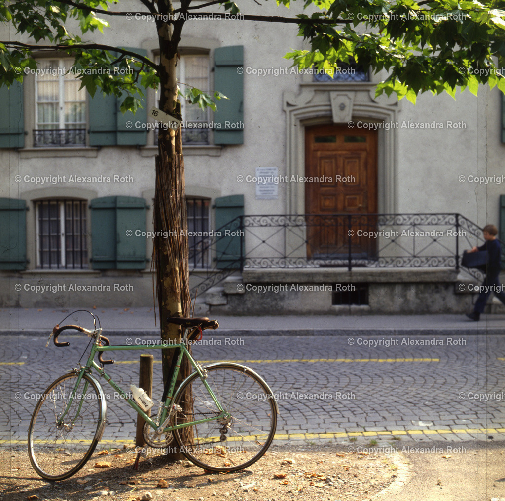 Aarau_0542 | onlineshop - Realisiert mit Pictrs.com