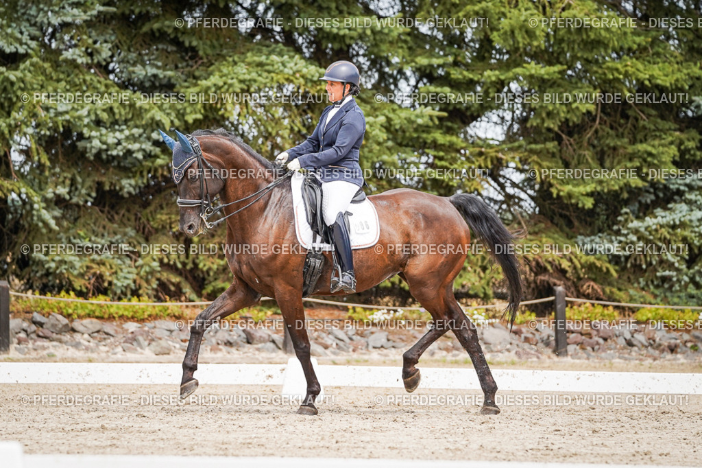 DSC05462 | Pferdegrafie