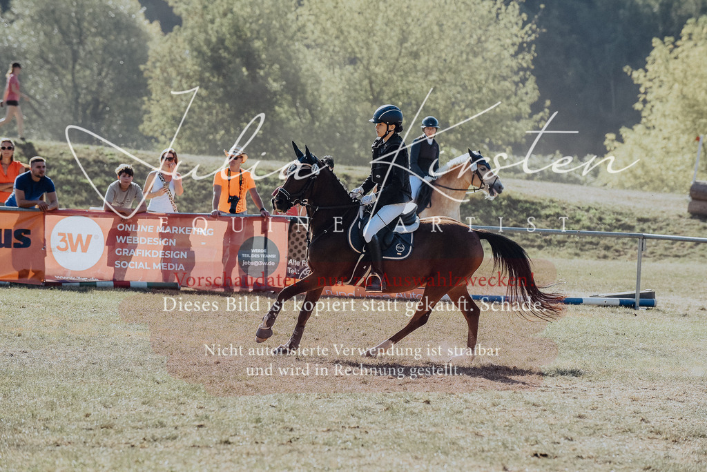 DSC_5818 | Pferde- und Turnierfotografie in Westsachsen. Pferdeportraits, Auftragszeichnungen und intuitive Kunst.