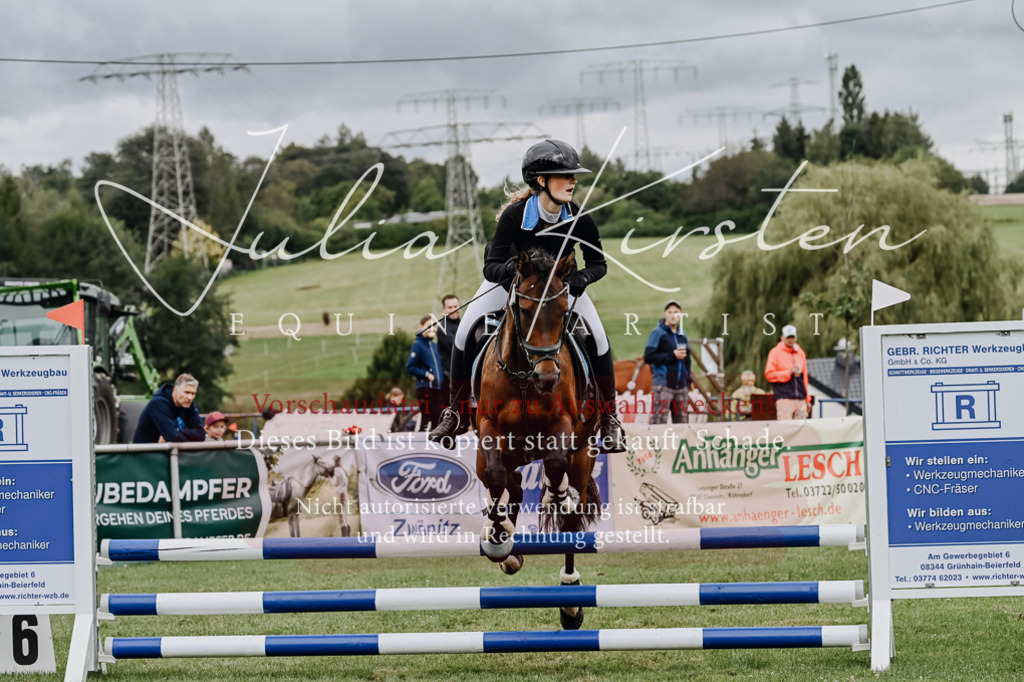 DSC_6761 | Pferde- und Turnierfotografie in Westsachsen. Pferdeportraits, Auftragszeichnungen und intuitive Kunst.