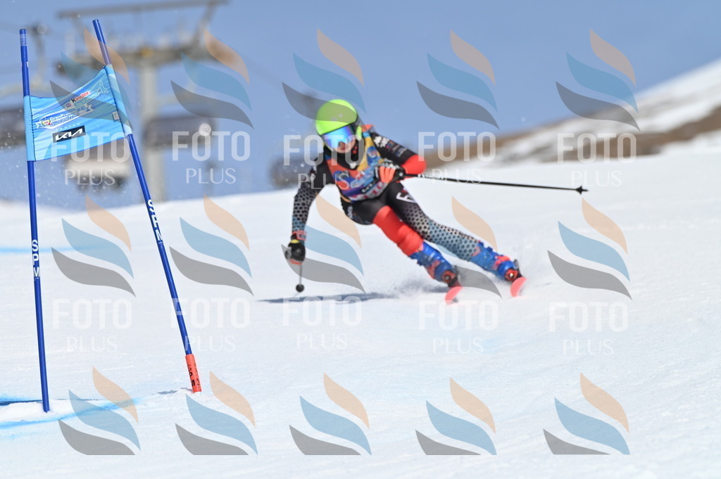 BGV_9639 | holidayphoto