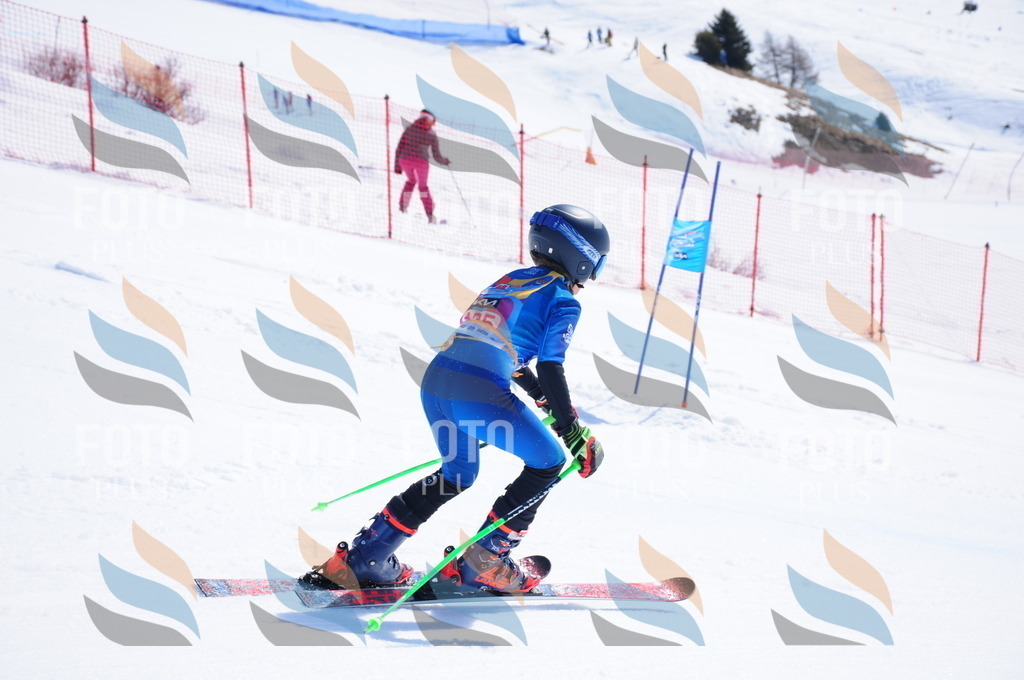 DSC_5120 | holidayphoto