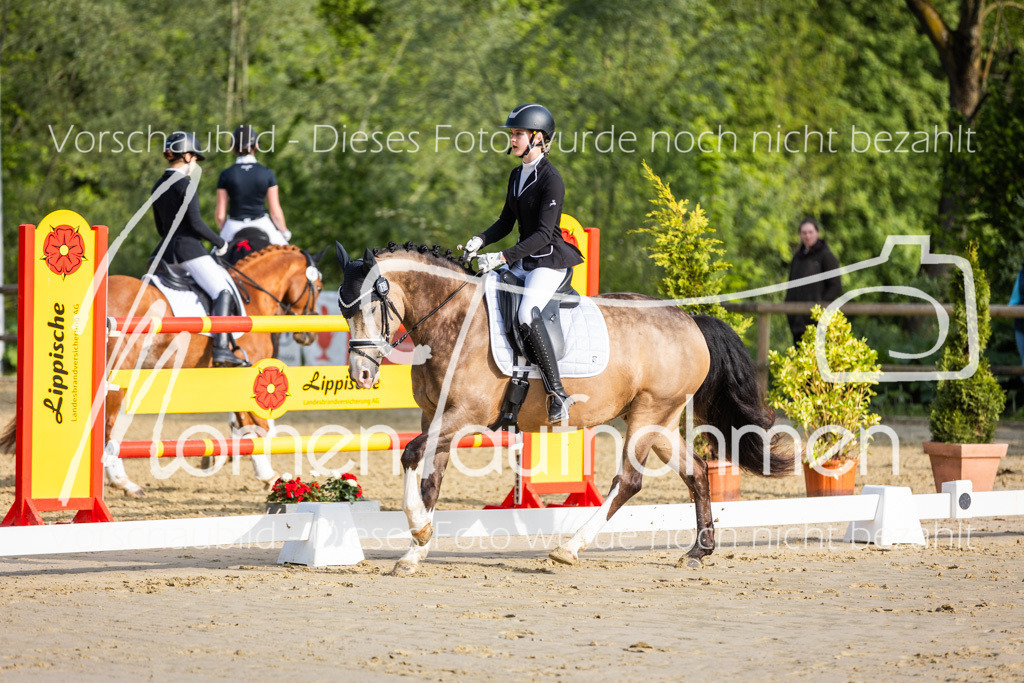 Donop24-A-Dre-018 | MomenTaufnahmen Pferdesportfotos