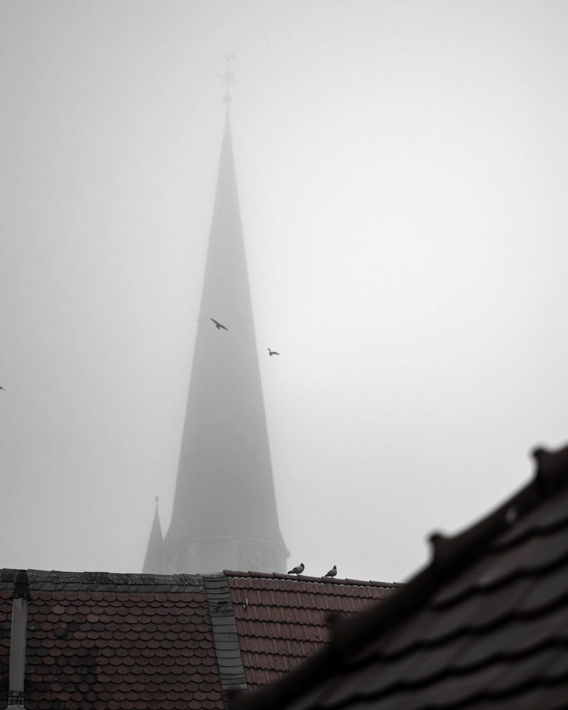 _DSC4716 | renerovisanfotoart.com