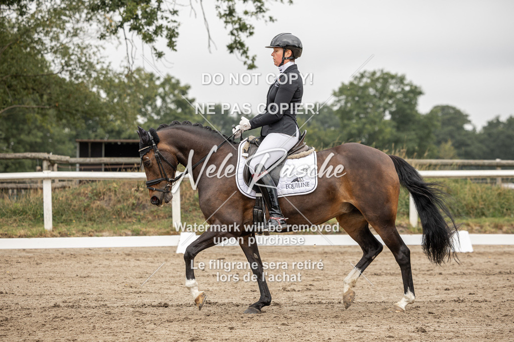 nelerasche_DrL_Ede_218 | nelerasche
