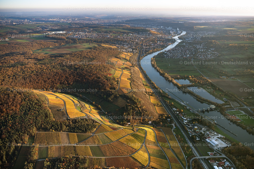 4042916 | Weinberg bei Thüngersheim, Weinlage Scharlachberg, Sonnenschein
