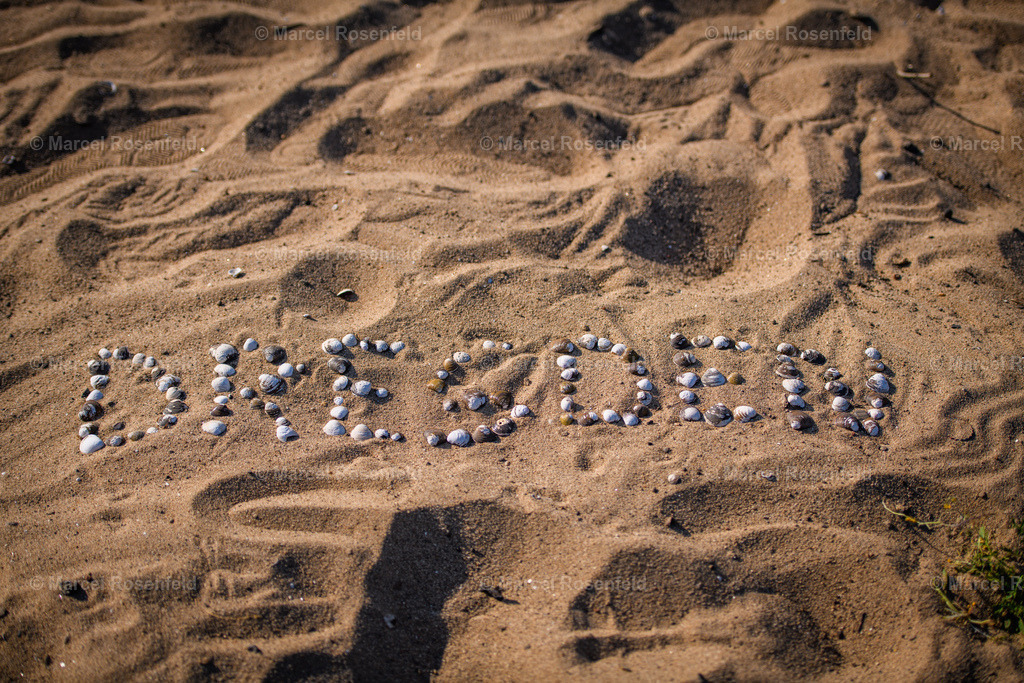 _DSC3927 | foto-rosenfeld