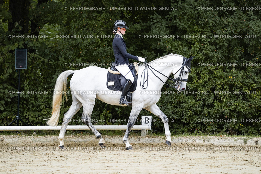 DSC08452 | Pferdegrafie