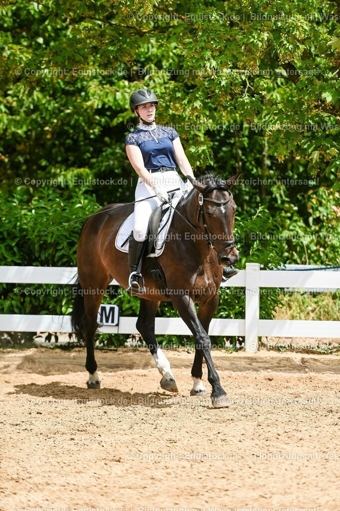 20230715_05_Dressurprüfung Kl.A++_0352 | equistock