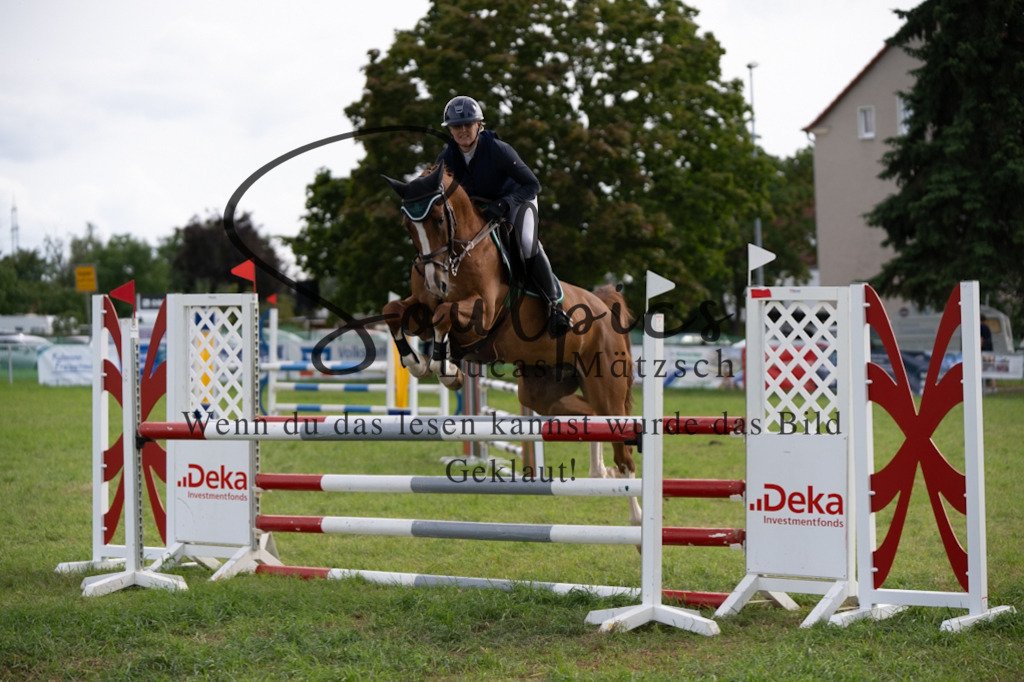 A7V04919 | Pferdefotograf