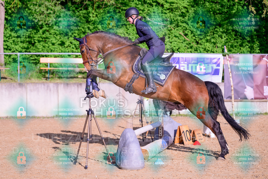 02052026-Giesenbach-03-Speedtrail-0298 | Fokus Hufschlag Fotografie - Realisiert mit Pictrs.com