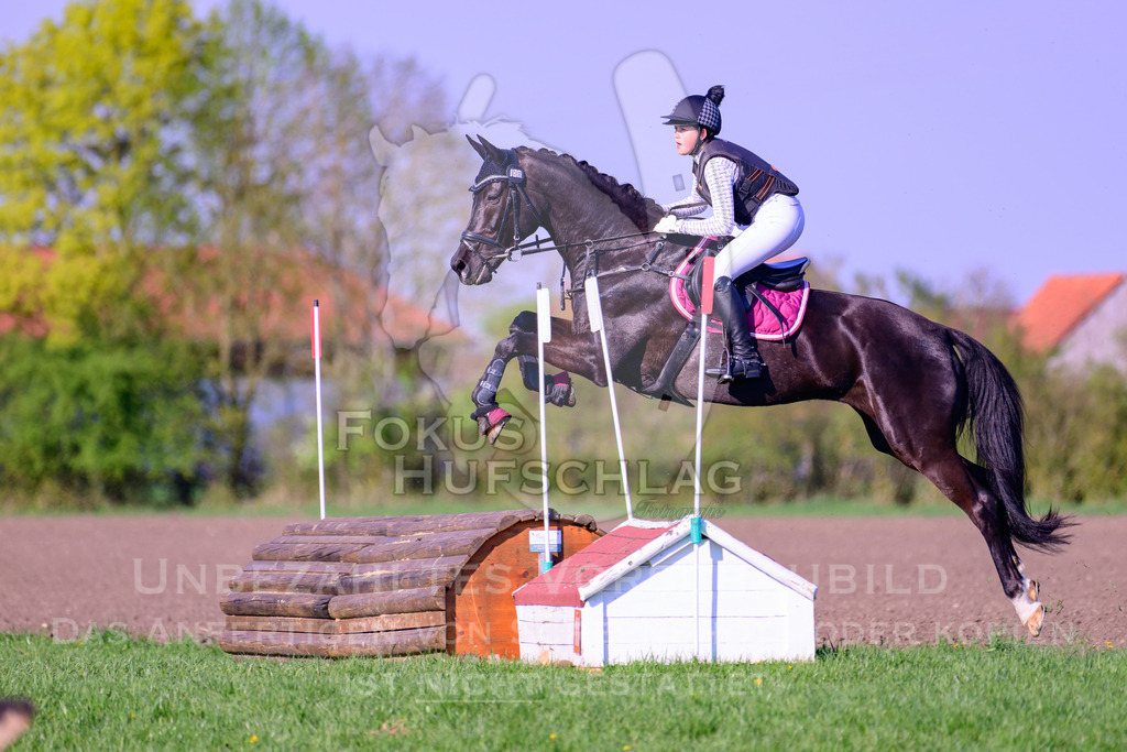18042026-Gernlinden-04-1-1519 | Fokus Hufschlag Fotografie - Realisiert mit Pictrs.com