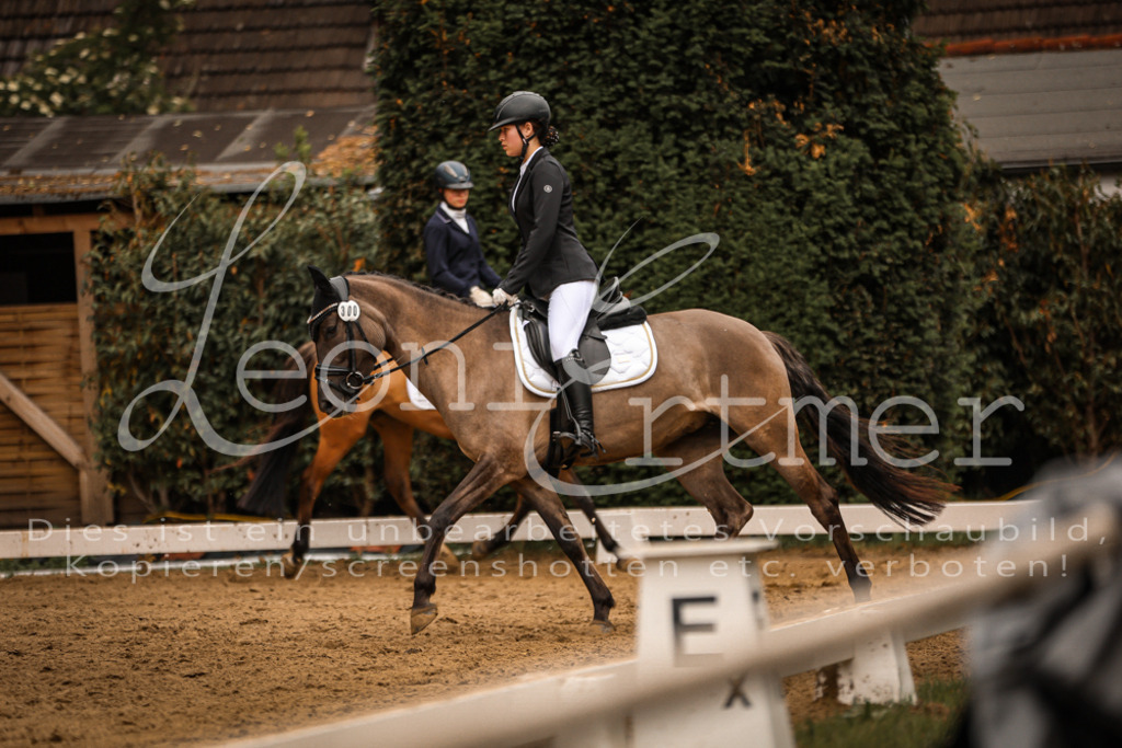 DoDrE00350 | Leoni Ertmer Photography - Realisiert mit Pictrs.com