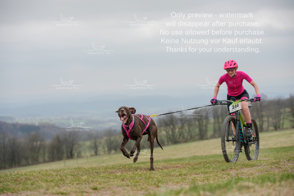 BikeSA-262 | stephaniefillaphotographie - Realisiert mit Pictrs.com