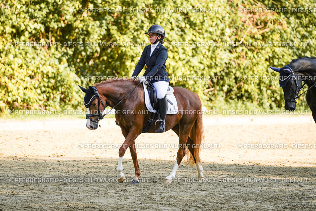 DSC06374 | Pferdegrafie