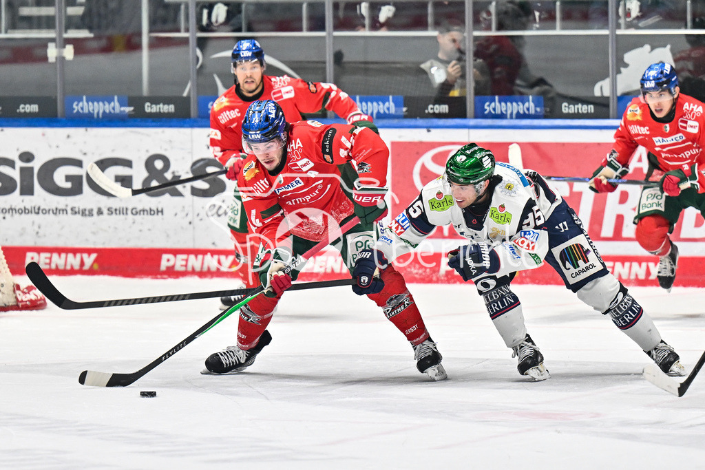 Augsburger Panther - Eisbären Berlin | AUGSBURG, GERMANY - 27. JANUARY: im Duell D. J. BUSDEKER (Augsburger Panther 14) und Frederik TIFFELS (Eisbären Berlin 95) während dem Match zwischen den Augsburger Panthern und den Fischtown Pinguins am 43. Spieltag der Penny DEL im Curt Frenzel Stadion