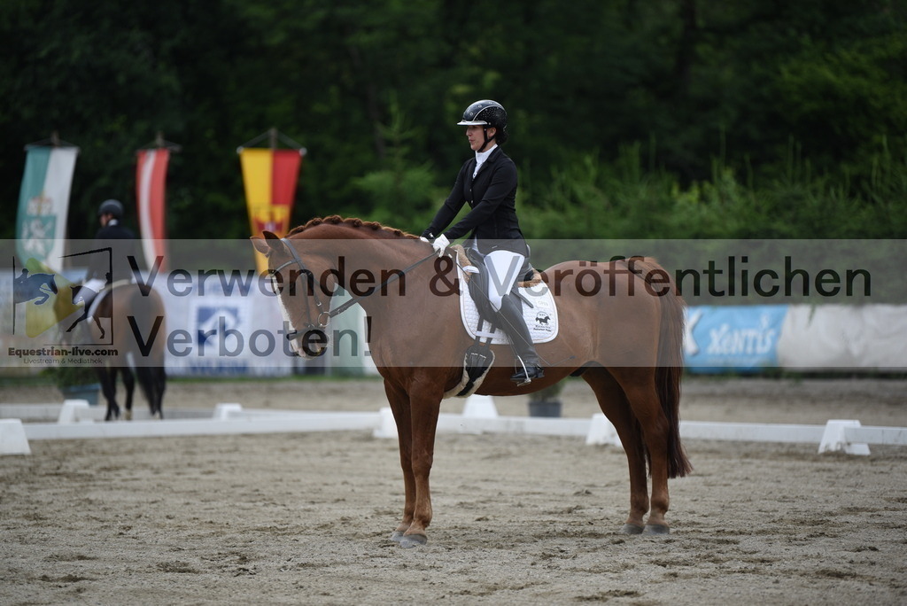 DSC_6233 | equestrian-live-com
