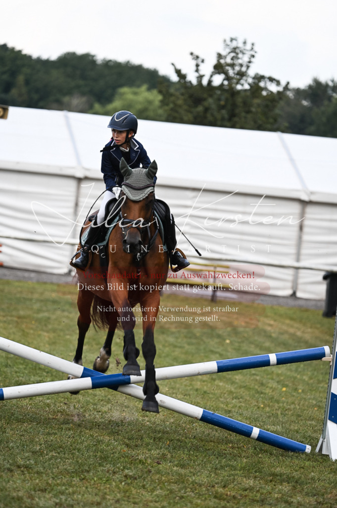 DSC_5684 | Pferde- und Turnierfotografie in Westsachsen. Pferdeportraits, Auftragszeichnungen und intuitive Kunst.