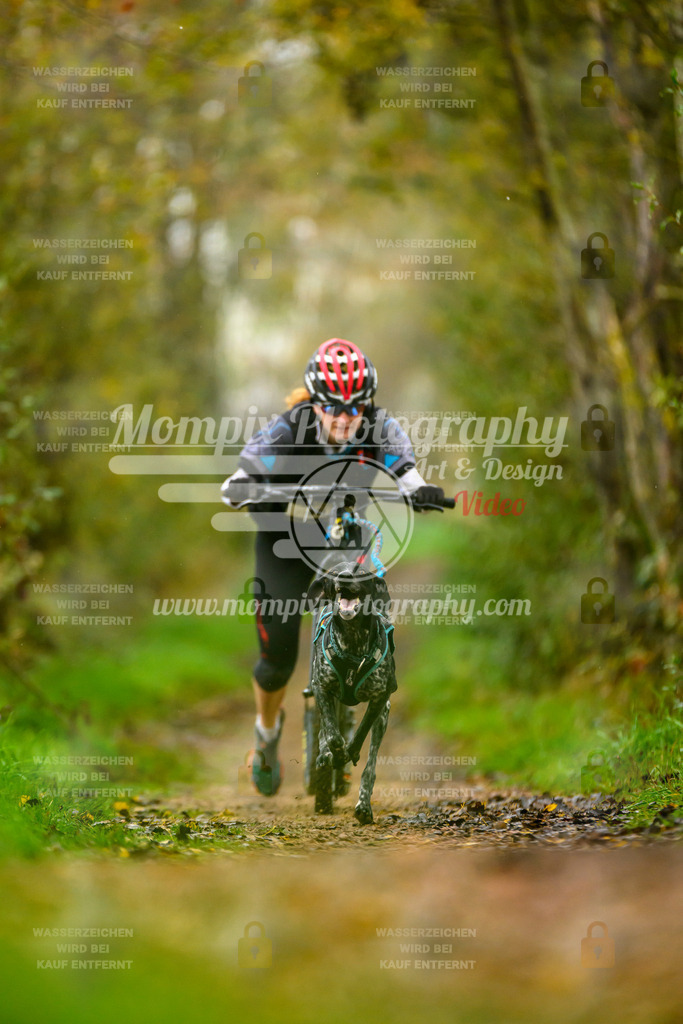 MompixPhotography_20TSB_E6_DS1-25 | PayLife