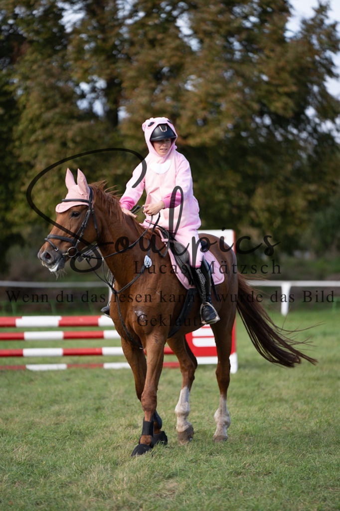 A7V06515 | Pferdefotograf