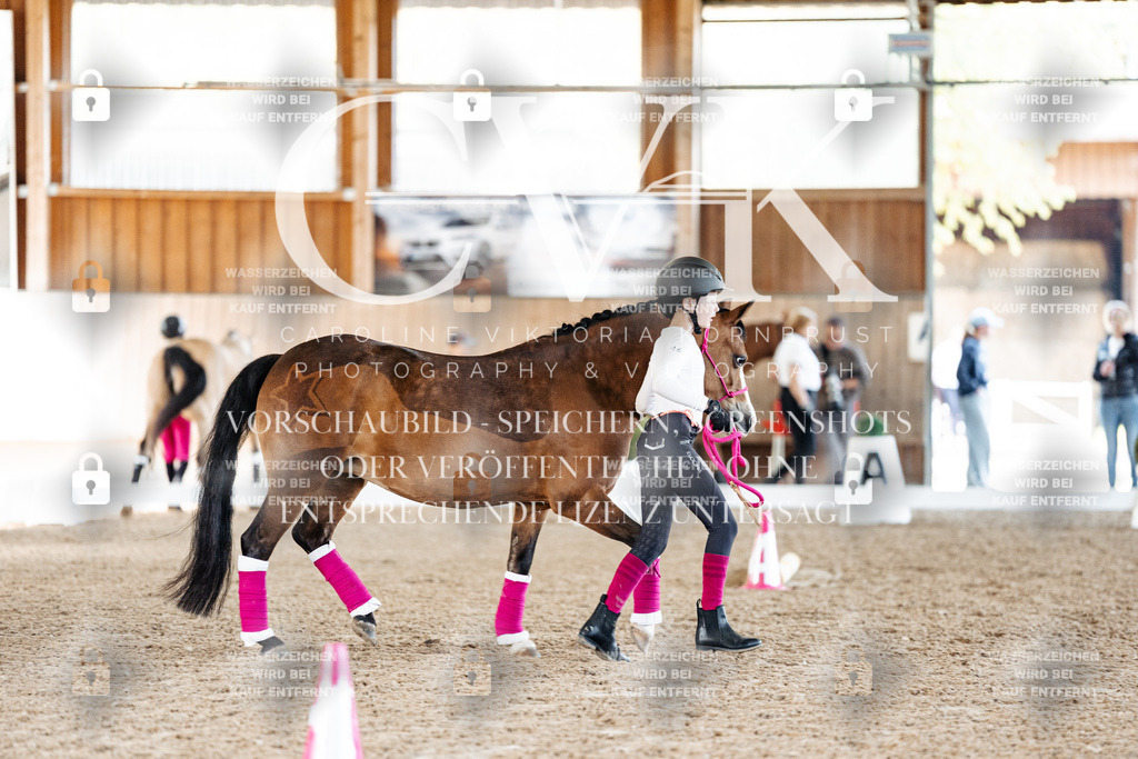 CK905534 | Turnierfotografie Pferdefotografie Trier Rheinland-Pfalz Pferdesport Reitsport Tierfotografie Sportfotografie Pferdevideo Pferdevideografie Equestrianvideography equestrianphotography  - Realisiert mit Pictrs.com