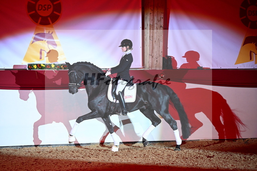 DSP Dream Royal_Arturi_2255174 | hf-fotografie - Realisiert mit Pictrs.com